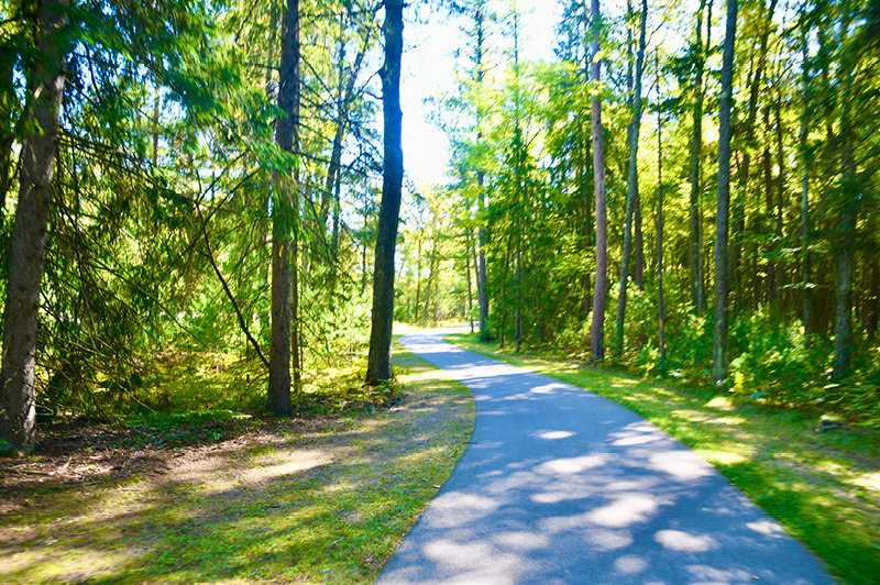 North Higgins Lake Trail
